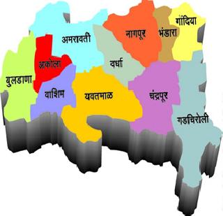 Give Rs 25 thousand crore package for Vidarbha! | विदर्भासाठी 25 हजार कोटींचे पॅकेज द्या! Give Rs 25 thousand crore package for Vidarbha! | विदर्भासाठी 25 हजार कोटींचे पॅकेज द्या!
