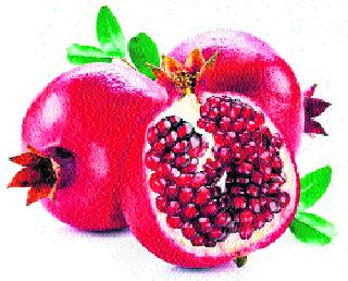 In one day pomegranate | एका दिवसात डाळिंबाची In one day pomegranate | एका दिवसात डाळिंबाची