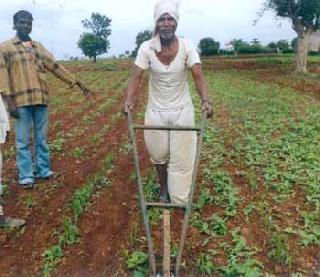 The cycle machinery has three acres of farming | सायकल यंत्राने तीन एकर शेतीची डवरणी The cycle machinery has three acres of farming | सायकल यंत्राने तीन एकर शेतीची डवरणी