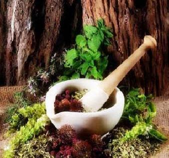 Herb day | जडीबुटी दिन