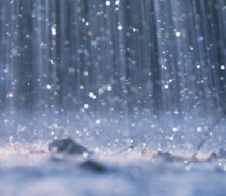 The lowest rainfall in five years | पाच वर्षात सर्वात कमी पाऊस The lowest rainfall in five years | पाच वर्षात सर्वात कमी पाऊस