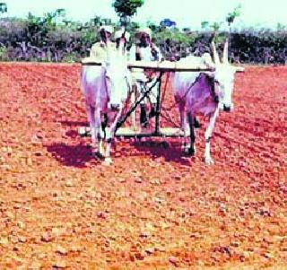 Due to the sowing of farmers in distress | शेतकर्‍यांची दूबार पेरणीही संकटात