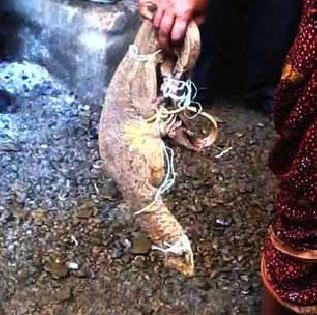 The sale of Gorpad Rajroos | घोरपडची राजरोस विक्री