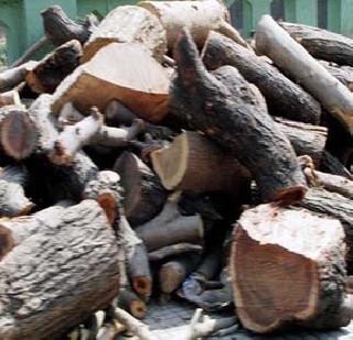 Do not want wood for funeral | अंत्यसंस्कारासाठी लाकडे नकोत Do not want wood for funeral | अंत्यसंस्कारासाठी लाकडे नकोत