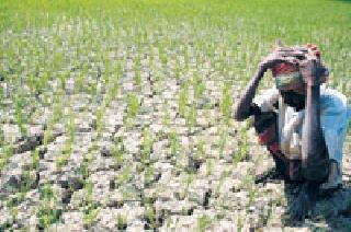 Farmers in the cyclone sowing! | शेतकरी दुबार पेरणीच्या चक्रव्यूहात!