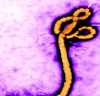 'Ebola' alert | ‘ईबोला’ अॅलर्ट