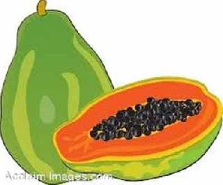 28 lakh papaya rickshaw land! | खडकाळ जमिनीत पिकविली २८ लाखाची पपई! 28 lakh papaya rickshaw land! | खडकाळ जमिनीत पिकविली २८ लाखाची पपई!