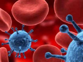 Dengue-like 'viral' in Akola district | अकोला जिल्ह्यात डेंग्यूसदृश ‘व्हायरल’