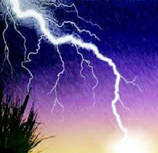 20 killed in electricity boom | वीज कोसळून राज्यात 20 ठार