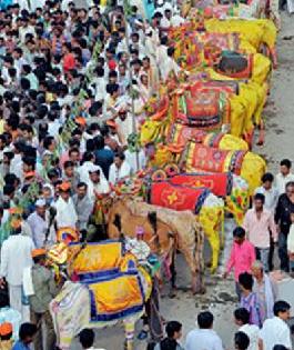 Happy Feast: | सण आनंदाचा : Happy Feast: | सण आनंदाचा :