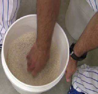 Indian 'Rice Bucket Challenge' | भारतीय ‘राईस बकेट चॅलेंज’ Indian 'Rice Bucket Challenge' | भारतीय ‘राईस बकेट चॅलेंज’