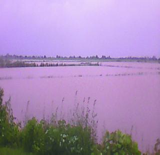 Heavy rains lashed | मुसळधार पावसाने झोडपले