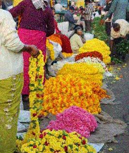 Imports of sacrificial flowers in Gulshanabad | गुलशनाबादमध्ये होतेय पुजेच्या फुलांची आयात Imports of sacrificial flowers in Gulshanabad | गुलशनाबादमध्ये होतेय पुजेच्या फुलांची आयात