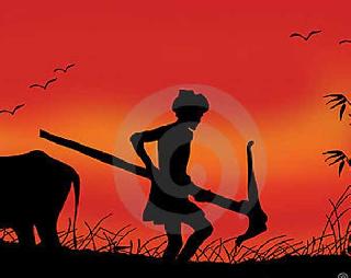 39 farmers in the state on an international study tour! | राज्यातील ३९ शेतकरी आंतरराष्ट्रीय अभ्यास दौर्यावर! 39 farmers in the state on an international study tour! | राज्यातील ३९ शेतकरी आंतरराष्ट्रीय अभ्यास दौर्यावर!