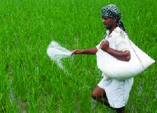 Urea shortage of fertilizers | युरिया खताची कमतरता