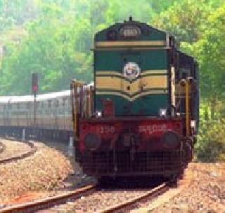 The buffaloes, the Konkan Railway jumped again | म्हशी आल्या आडव्या, कोकण रेल्वे पुन्हा ठप्प