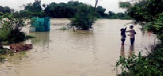 Sankatadhar, Dharan Fula | संततधार, धरणे फुल्ल Sankatadhar, Dharan Fula | संततधार, धरणे फुल्ल
