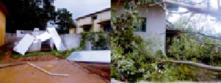 Storm hit Bodra village | बोदरा गावाला वादळीवाऱ्याचा तडाखा Storm hit Bodra village | बोदरा गावाला वादळीवाऱ्याचा तडाखा