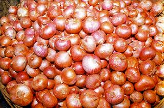 Demand for lifting of onion export ban | कांदा निर्यातबंदी उठविण्याची मागणी