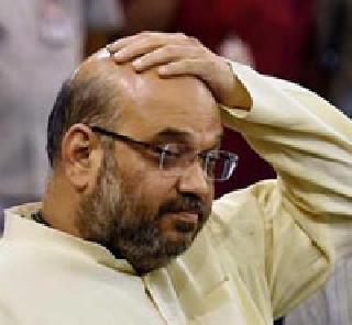 The chargesheet filed against Amit Shahan for inflammatory speech | प्रक्षोभक भाषणाबद्दल अमित शहांविरोधात आरोपपत्र दाखल