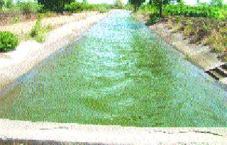 The water left on the left canal of Punegaon dam | पुणेगाव धरणाचे डाव्या कालव्यास पाणी सोडले