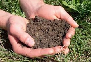 The strengthening of soil testing laboratories will be strengthened | माती परिक्षण प्रयोगशाळांचे बळकटीकरण होणार