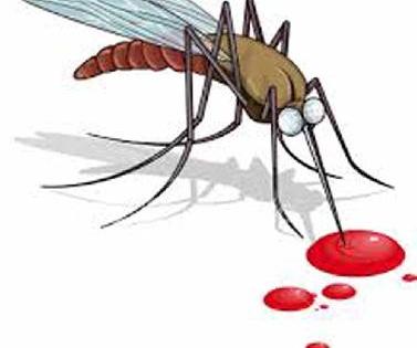 Infectious Dengueceptive Disease | इचोरीत डेंग्यूसदृश आजाराचे थैमान Infectious Dengueceptive Disease | इचोरीत डेंग्यूसदृश आजाराचे थैमान