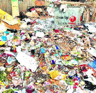 Pune's garbage will finally be harvested | पुण्याचा कचरा अखेर मोशीत जिरणार