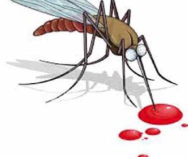 Dengue patient found in Umbaradazaar | उंबर्डाबाजार येथे आढळला डेंग्यूचा रूग्ण