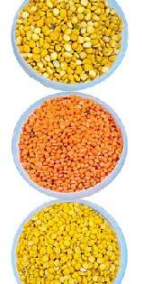 Oil cheaper - pulses became expensive | तेल स्वस्त - डाळी महागल्या Oil cheaper - pulses became expensive | तेल स्वस्त - डाळी महागल्या