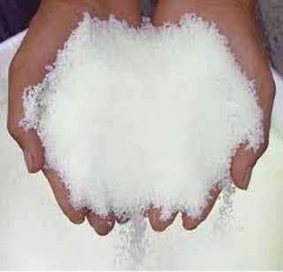 30,000 metric tonnes of urea in western Vidarbha! | पश्चिम विदर्भात ३0 हजार मेट्रिक टन युरियाचा तुटवडा! 30,000 metric tonnes of urea in western Vidarbha! | पश्चिम विदर्भात ३0 हजार मेट्रिक टन युरियाचा तुटवडा!