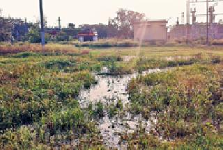 Loss of thousands of liters of water | हजारो लिटर पाण्याची नासाडी Loss of thousands of liters of water | हजारो लिटर पाण्याची नासाडी