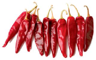 Lal Chile Sanjivani | लाल मिरचीला संजीवनी Lal Chile Sanjivani | लाल मिरचीला संजीवनी