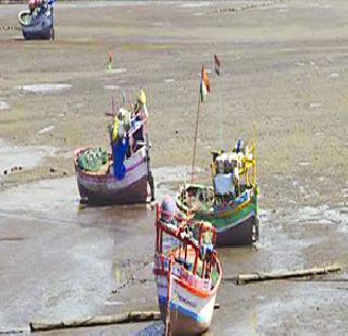 Vastrapurakshi disappeared in Vasai Naigaon Bay | वसई नायगाव खाडीतील पाहुणोपक्षी गायब Vastrapurakshi disappeared in Vasai Naigaon Bay | वसई नायगाव खाडीतील पाहुणोपक्षी गायब