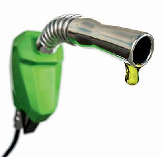 Options to Petrol | पेट्रोलला पर्याय Options to Petrol | पेट्रोलला पर्याय