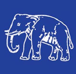 The first list of the BSP is announced | बसपाची पहिली यादी जाहीर