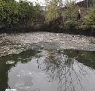 The pollution in the creek increased | खाडीतील प्रदूषण वाढले