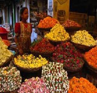 Due to Navratri, there is a tremendous increase in flowering rate | नवरात्रीमुळे फुलांच्या दरात दीडपट वाढ Due to Navratri, there is a tremendous increase in flowering rate | नवरात्रीमुळे फुलांच्या दरात दीडपट वाढ
