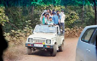 A visit to 16 thousand forest tourists in three months | तीन महिन्यात १६ हजार वन पर्यटकांची भेट A visit to 16 thousand forest tourists in three months | तीन महिन्यात १६ हजार वन पर्यटकांची भेट