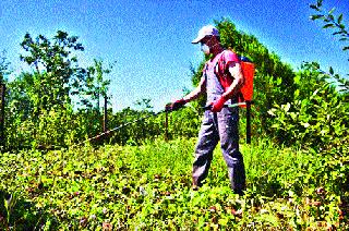 Embark on automatic spray pump farmers | स्वयंचलित फवारणी पंपाची शेतकऱ्यांना भुरळ Embark on automatic spray pump farmers | स्वयंचलित फवारणी पंपाची शेतकऱ्यांना भुरळ