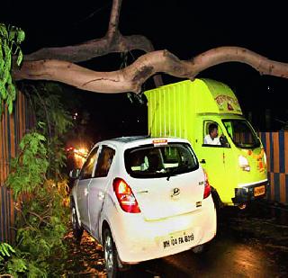 Windy rain rises, 6 injured | वादळी पावसाने झोडपले, 6 जखमी Windy rain rises, 6 injured | वादळी पावसाने झोडपले, 6 जखमी