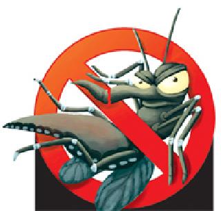 Dengue solution document document | डेंग्यूवरील उपाययोजना कागदोपत्रीच Dengue solution document document | डेंग्यूवरील उपाययोजना कागदोपत्रीच