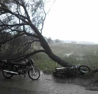 Bulldon is hit by windy blow | बुलडाण्याला वादळी वा-याचा तडाखा Bulldon is hit by windy blow | बुलडाण्याला वादळी वा-याचा तडाखा
