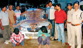 Both of them in Bhandara district were caught with tiger skin | भंडारा जिल्ह्यातील दोघांना वाघाच्या कातडीसह पकडले