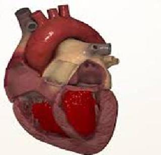 The new device giving information about the condition of the heart | हृदयाच्या स्थितीची माहिती देणारे नवे उपकरण