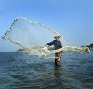 Dengue larvae in the fishery | मत्स्यशेतीत डेंगीच्या अळ्या