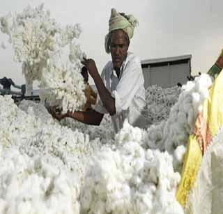 Guaranteed to buy cotton cloth Saturday! | हमी दराच्या कापूस खरेदीचा मुहूर्त शनिवारी!