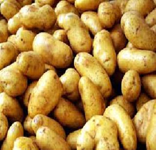 Out of the rooftop potato for sale | अरणीतील बटाटा विक्रीसाठी अखेर बाहेर