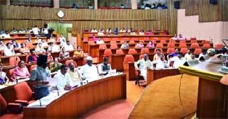 Ejected discussion on dengue | डेंग्यूवरील होणारी चर्चा बेदखल Ejected discussion on dengue | डेंग्यूवरील होणारी चर्चा बेदखल