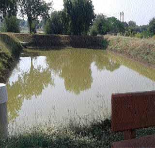 Bitter everywhere; But the water on the dryland plant! | सर्वत्र ठणठणाट; पण कोरडवाहू प्रक्षेत्रावर पाणी!